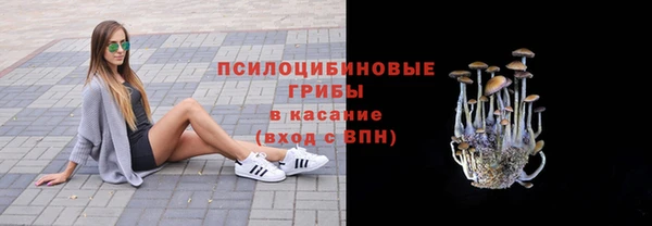 бошки Абаза