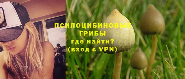 бошки Абаза